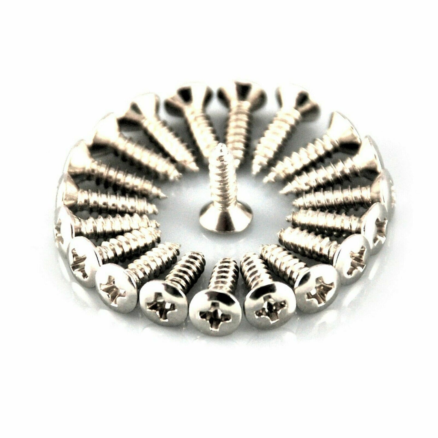 Circular arrangement of Chrome Guitar Pickguard screws screws on a white background.