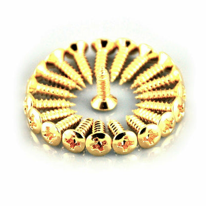Circular arrangement of Gold Guitar Pickguard screws screws on a white background.
