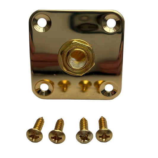 Gold electric guitar Jack Plate and Socket LP-style photographed from the front on a white surface.